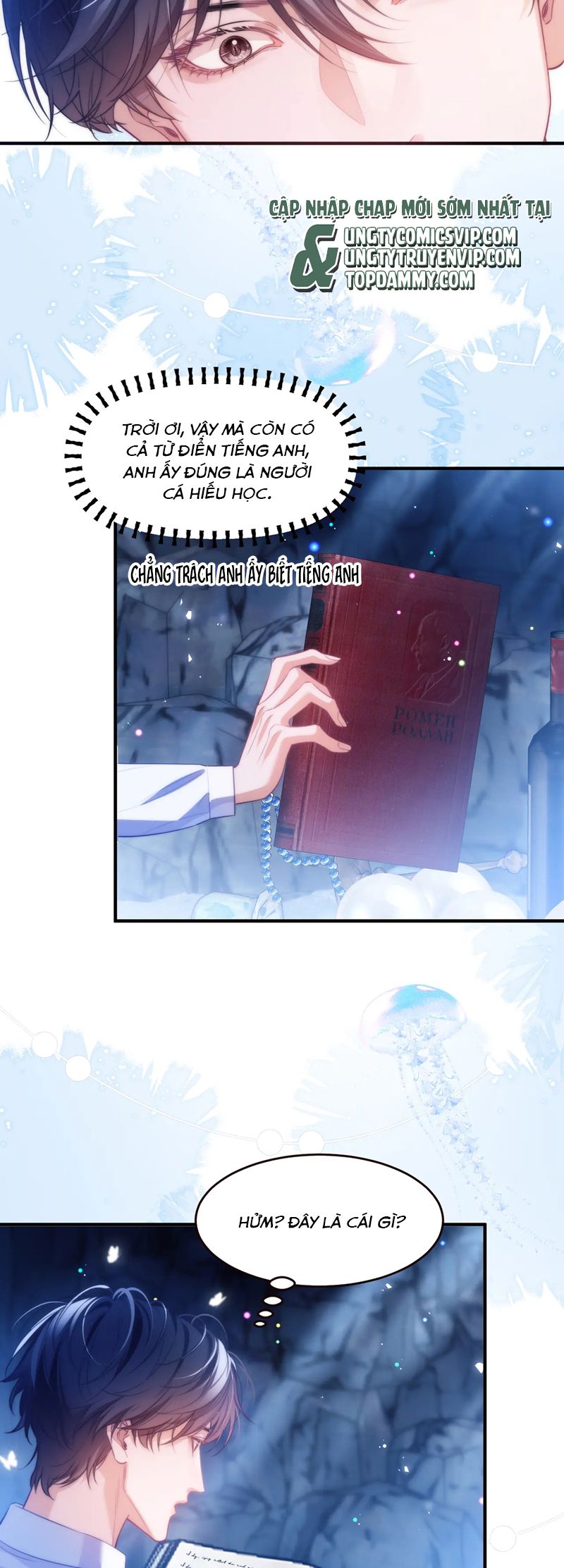 Desharow Nhân Ngư Chapter 56 - Trang 4