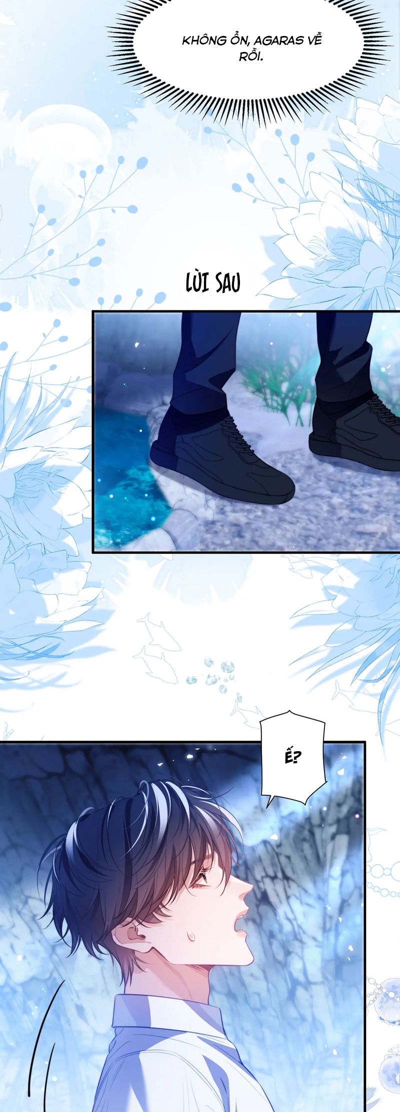 Desharow Nhân Ngư Chapter 56 - Trang 4