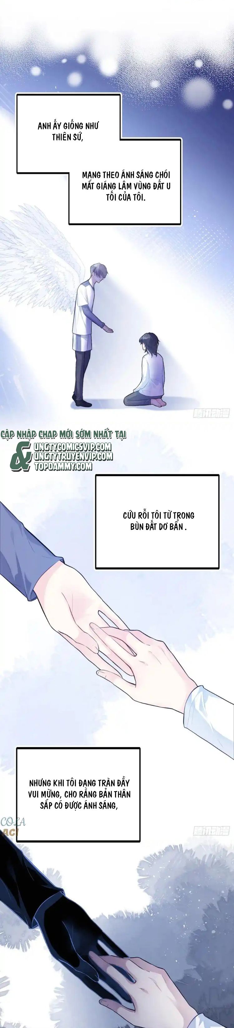 Anh Ấy Chưa Từng Rơi Xuống Chap 83 - Trang 4
