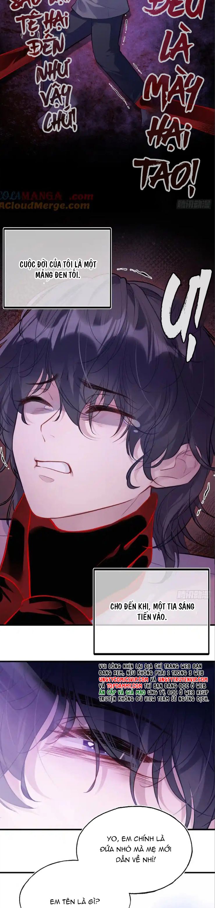 Anh Ấy Chưa Từng Rơi Xuống Chap 83 - Trang 4