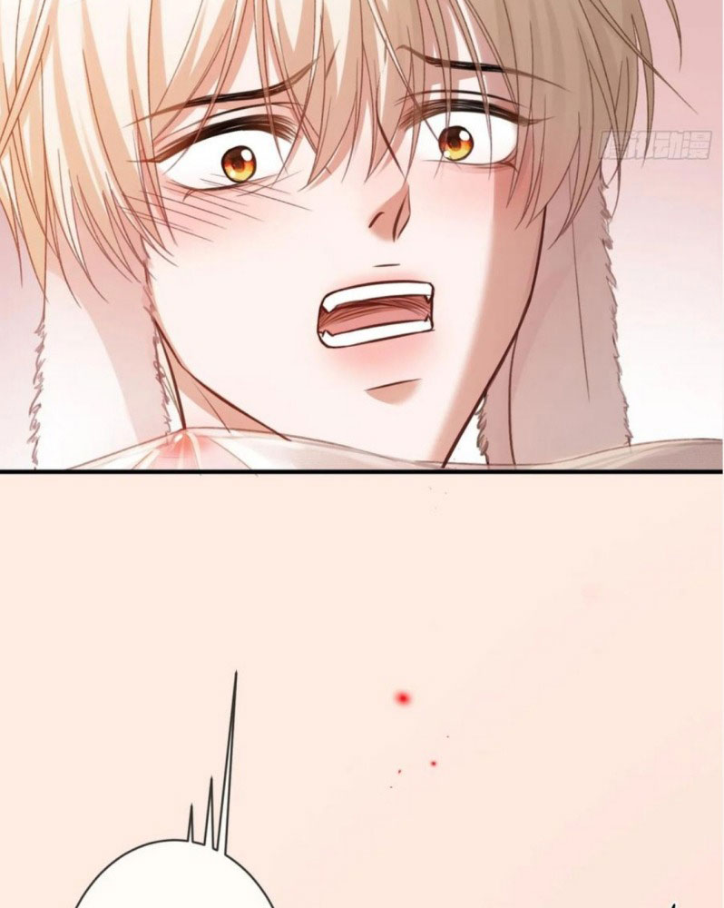 Xuyên Nhanh: Quan Hệ Gây Nghiện Chapter 41 - Trang 4