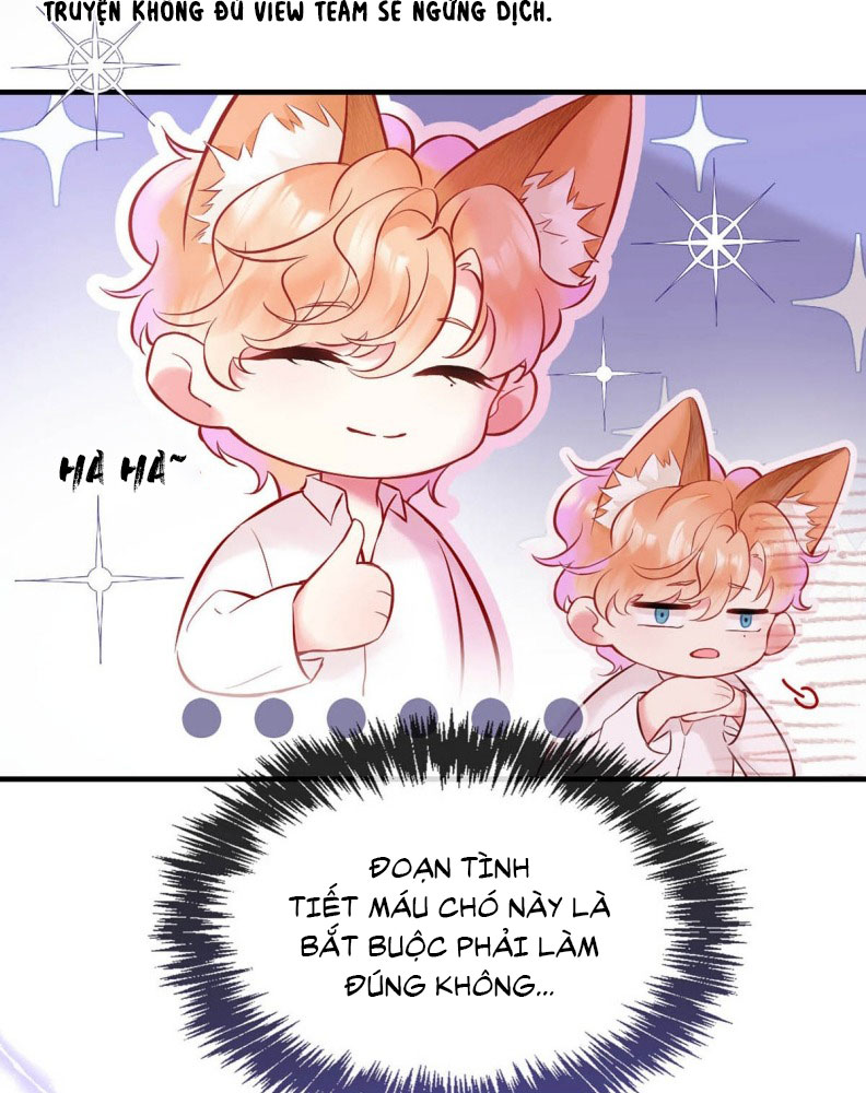 Công Lược Đối Tượng! Hình Tượng Của Cậu Sập Rồi! Chapter 4 - Trang 4