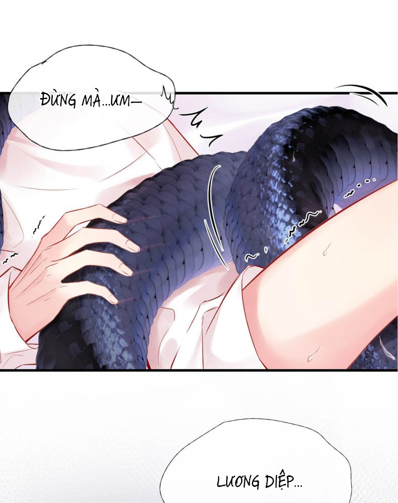 Công Lược Đối Tượng! Hình Tượng Của Cậu Sập Rồi! Chapter 4 - Trang 4