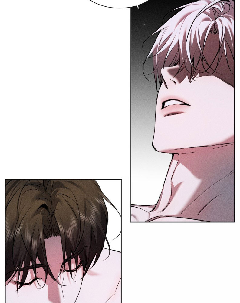 Ảnh Đế Cứ Muốn Làm Kim Chủ Của Tôi Chapter 39 - Trang 4