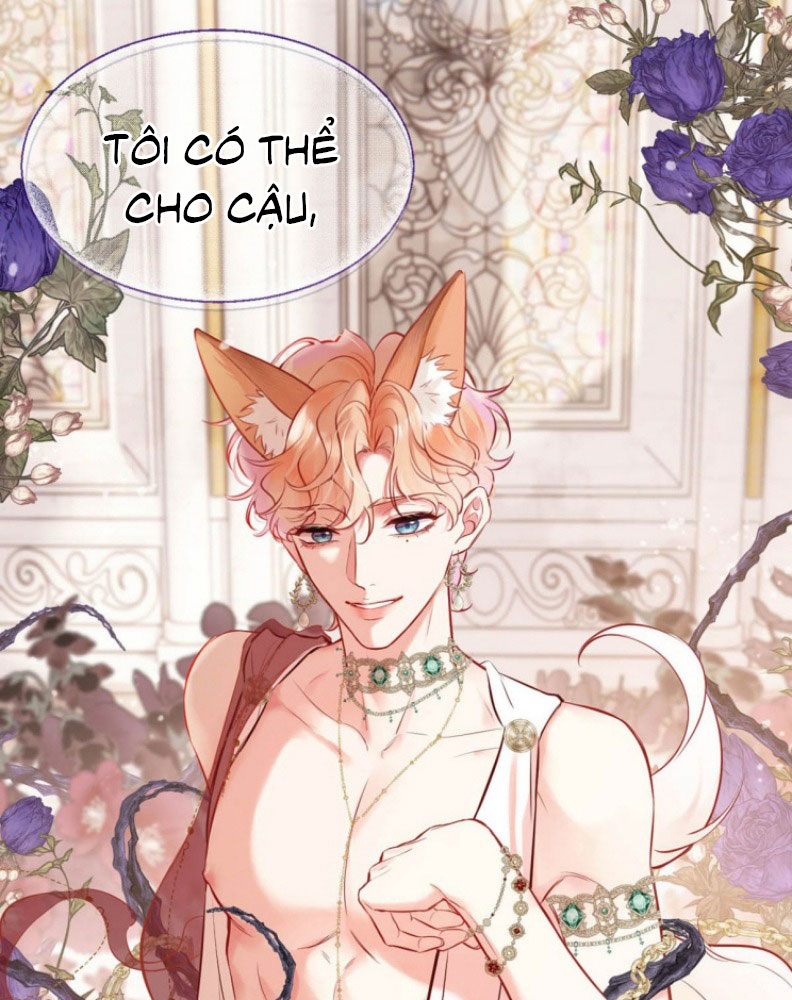 Công Lược Đối Tượng! Hình Tượng Của Cậu Sập Rồi! Chapter 8 - Next Chapter 9