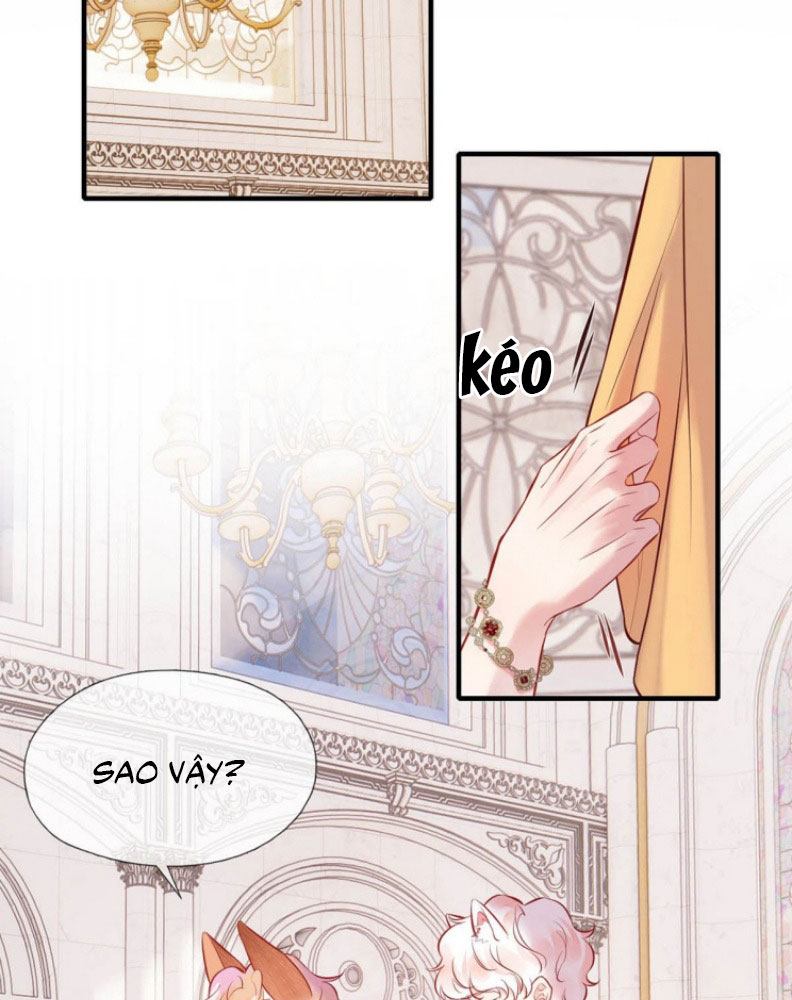 Công Lược Đối Tượng! Hình Tượng Của Cậu Sập Rồi! Chapter 8 - Next Chapter 9