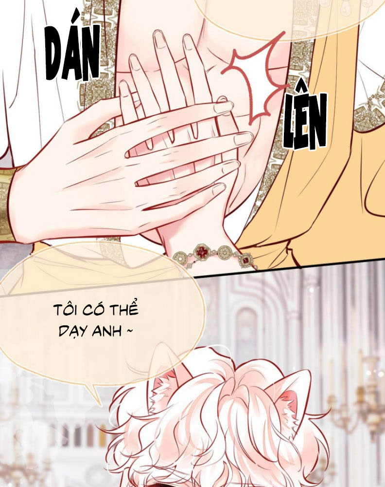 Công Lược Đối Tượng! Hình Tượng Của Cậu Sập Rồi! Chapter 8 - Next Chapter 9