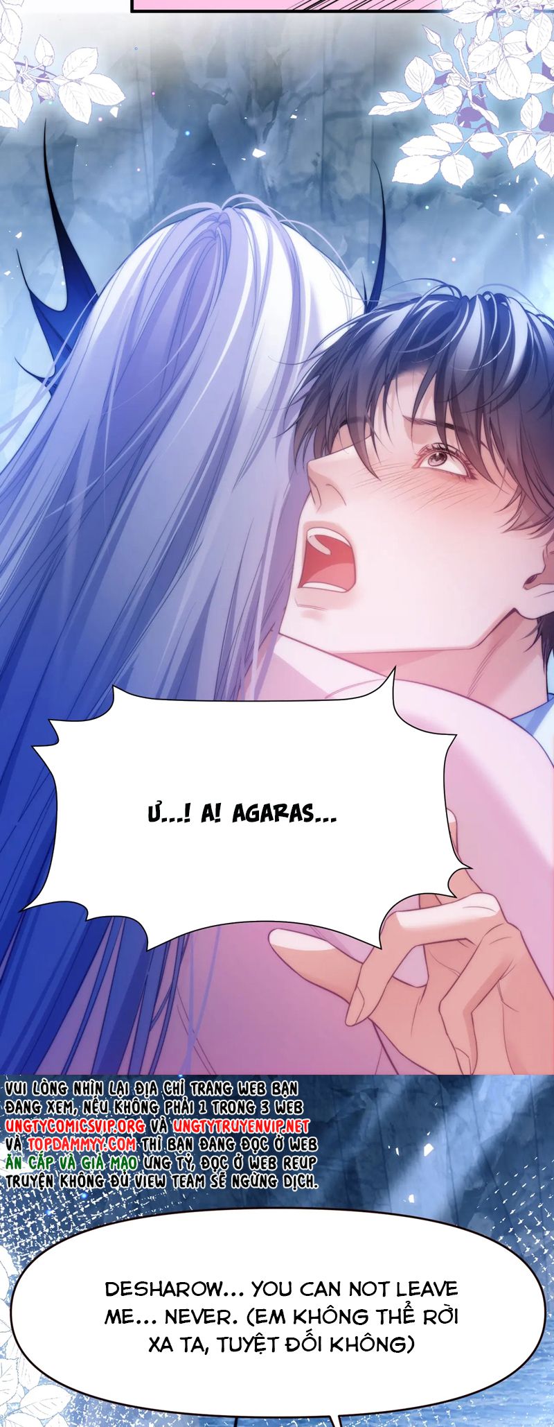Desharow Nhân Ngư Chapter 65 - Trang 4