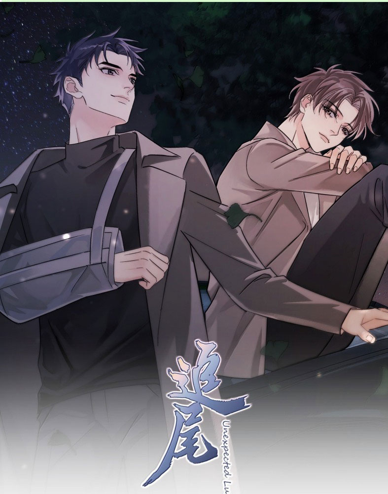 Theo Đuôi Chap 112 - Trang 4