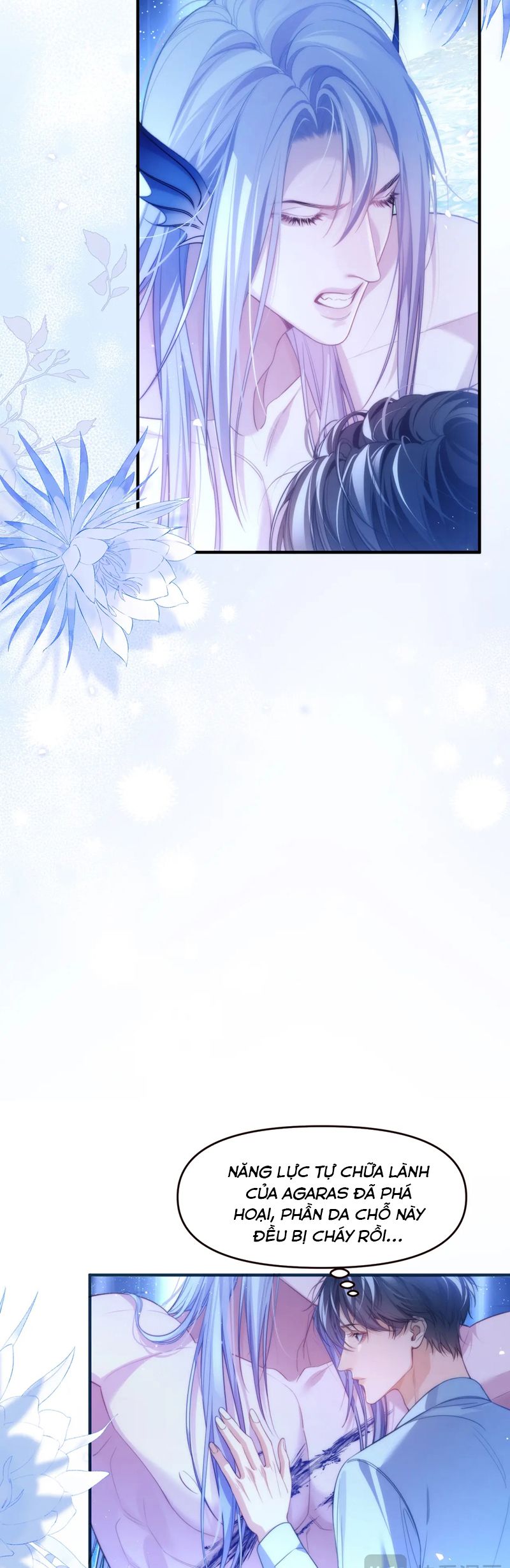 Desharow Nhân Ngư Chapter 69 - Trang 4