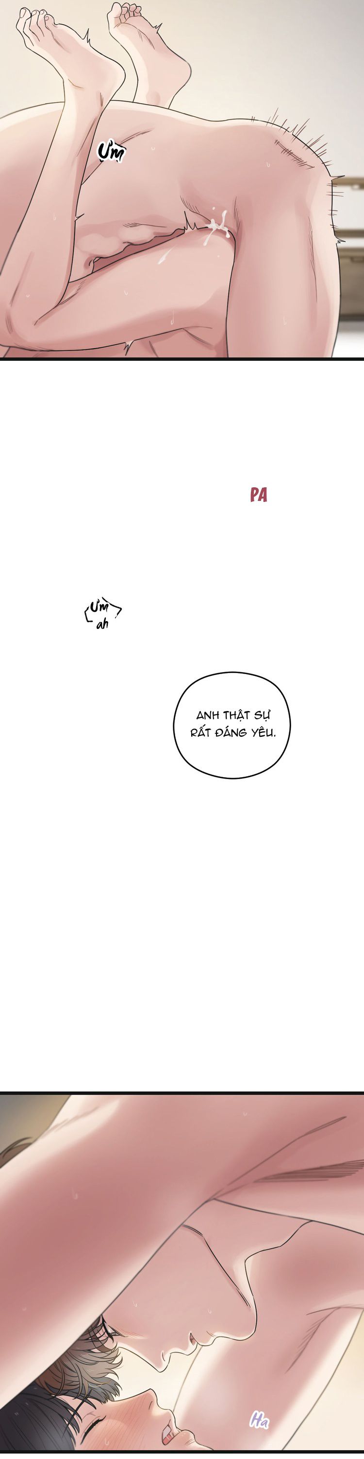 Tương Phùng Chap 52: H+ - Trang 2