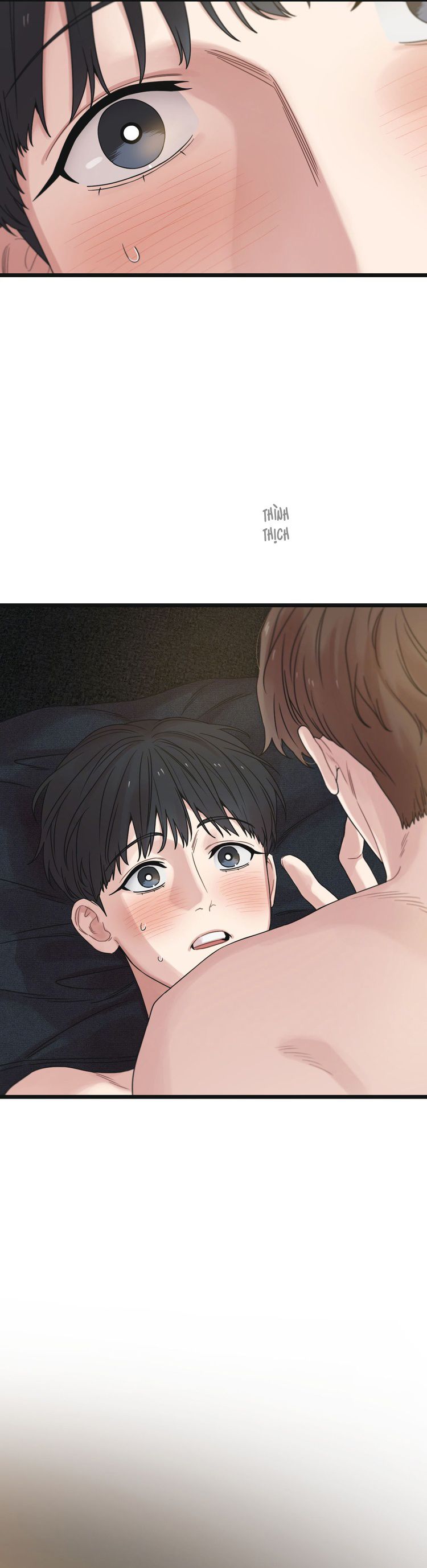 Tương Phùng Chap 52: H+ - Trang 2