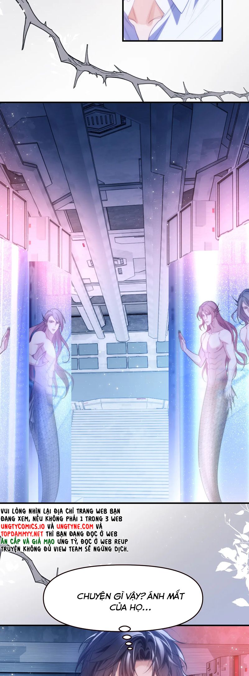 Desharow Nhân Ngư Chapter 70 - Trang 4