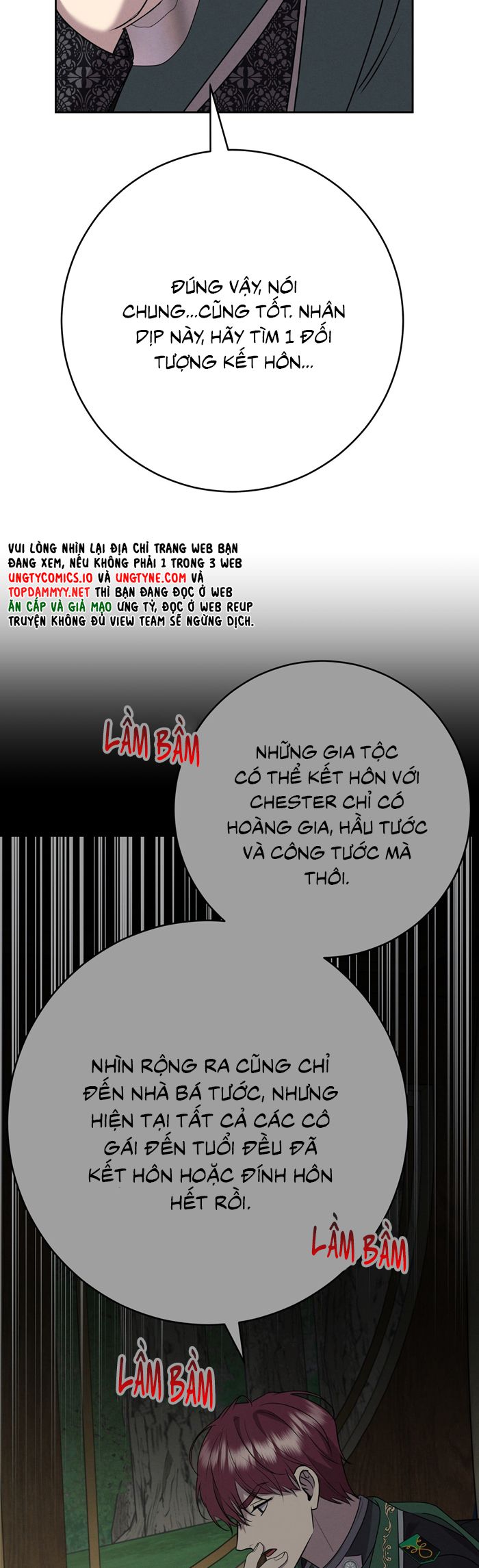 Hôn Nhân Gia Tộc Chap 8 - Trang 3