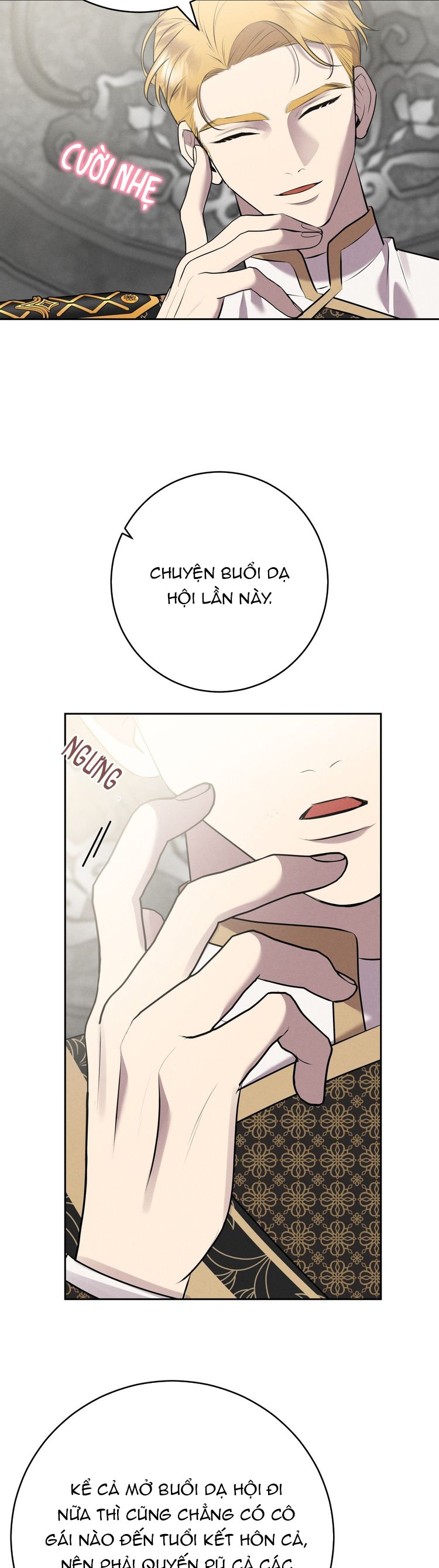 Hôn Nhân Gia Tộc Chap 9 - Trang 3