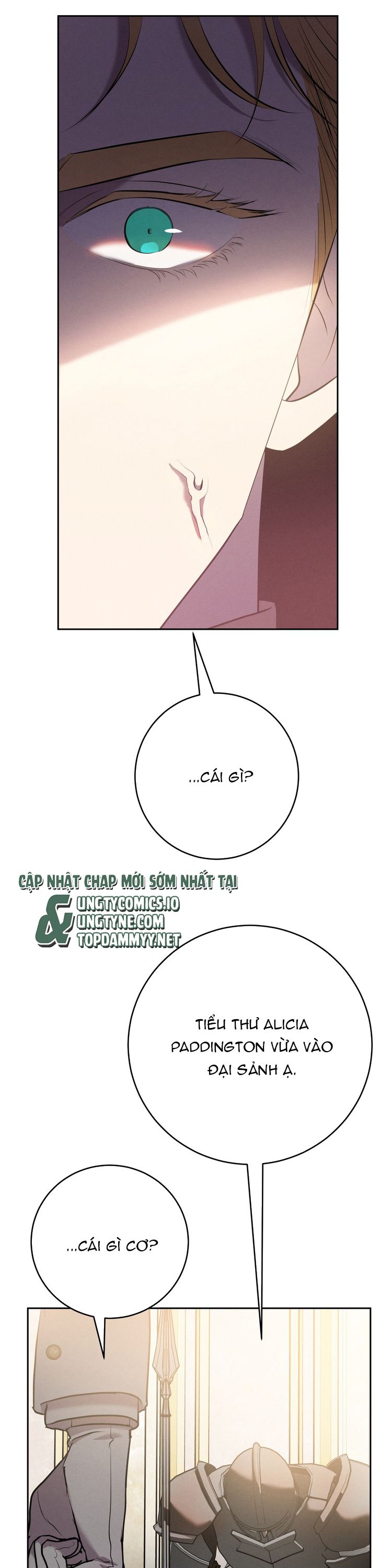 Hôn Nhân Gia Tộc Chap 11 - Trang 3