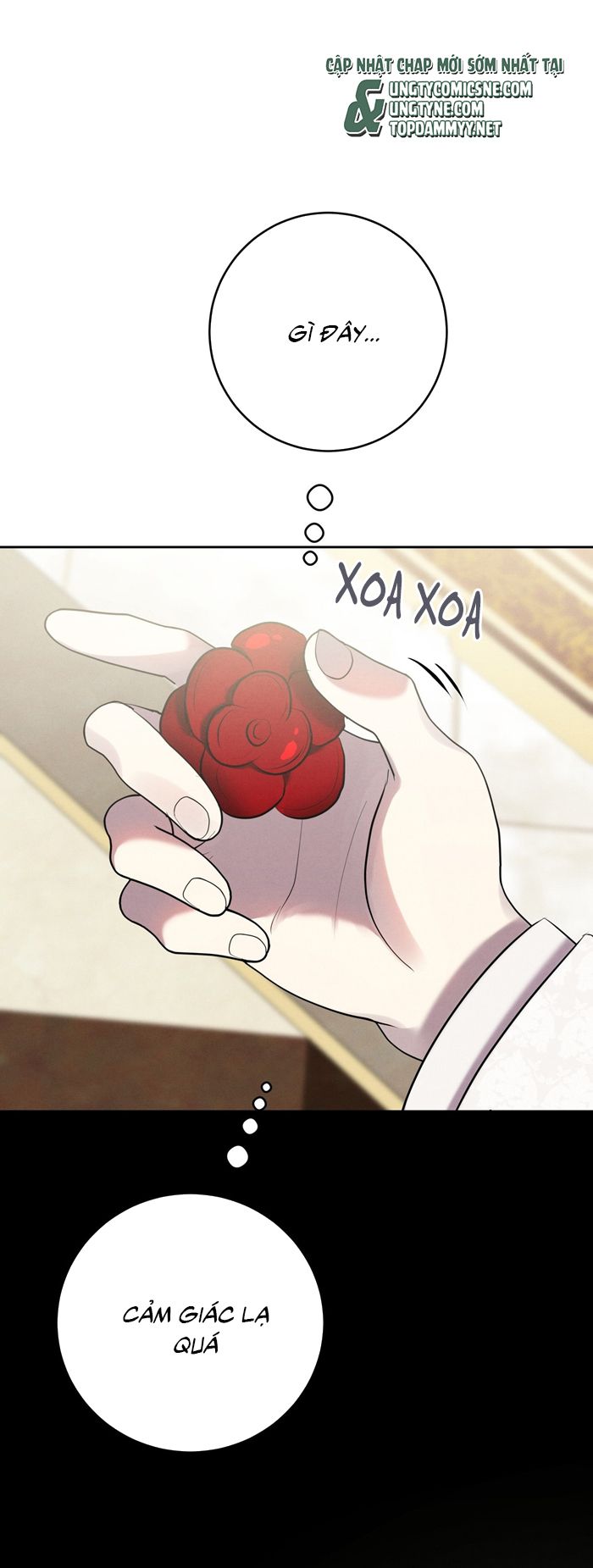 Hôn Nhân Gia Tộc Chap 12 - Trang 3