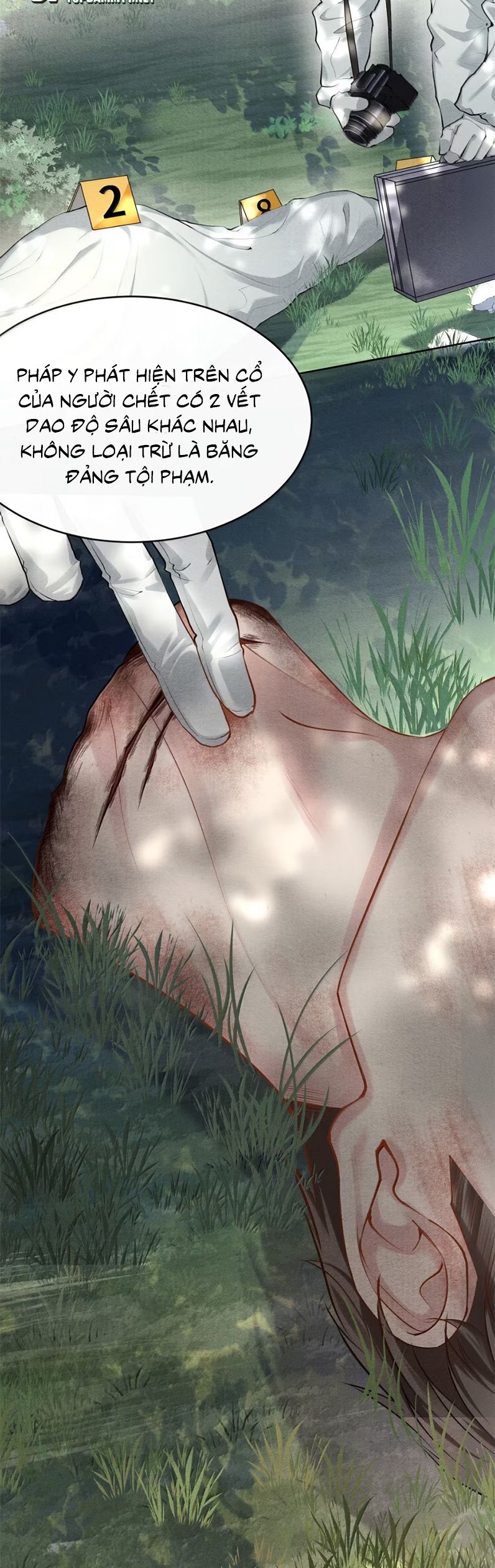 Nghịch Quang Chi Vũ Chap 5 - Trang 2