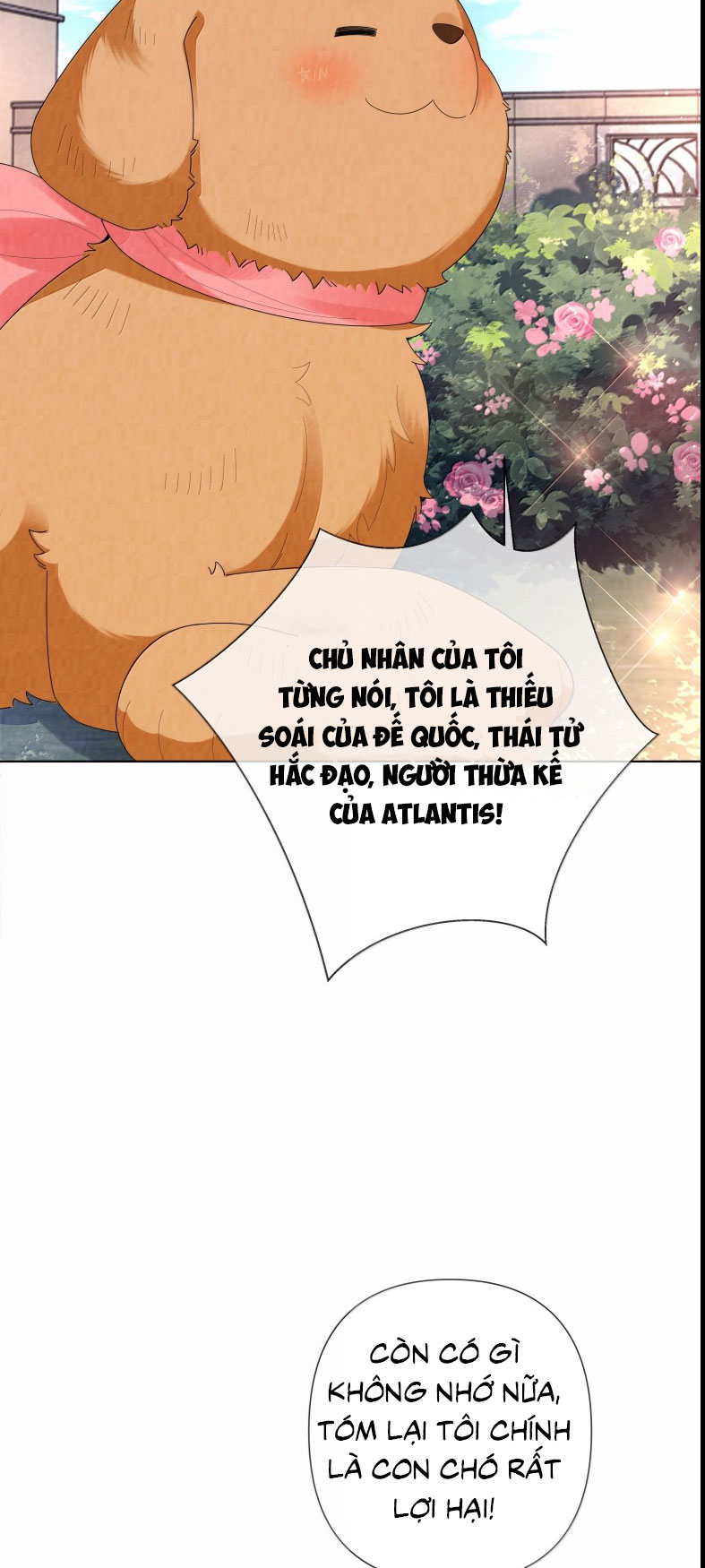 Dior Tiên Sinh Ngoại truyện 4 - Trang 2