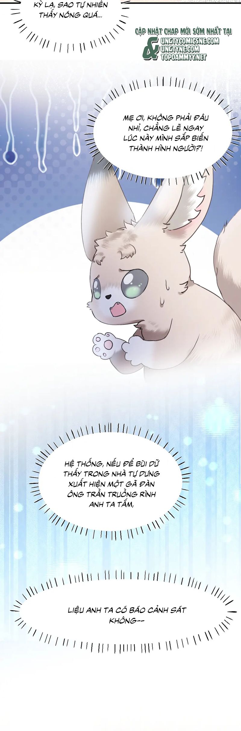 Tiểu Thiếu Gia Dựa Vào Mỹ Mạo Hoành Hành Toàn Hệ Thống Chapter 58 - Trang 4