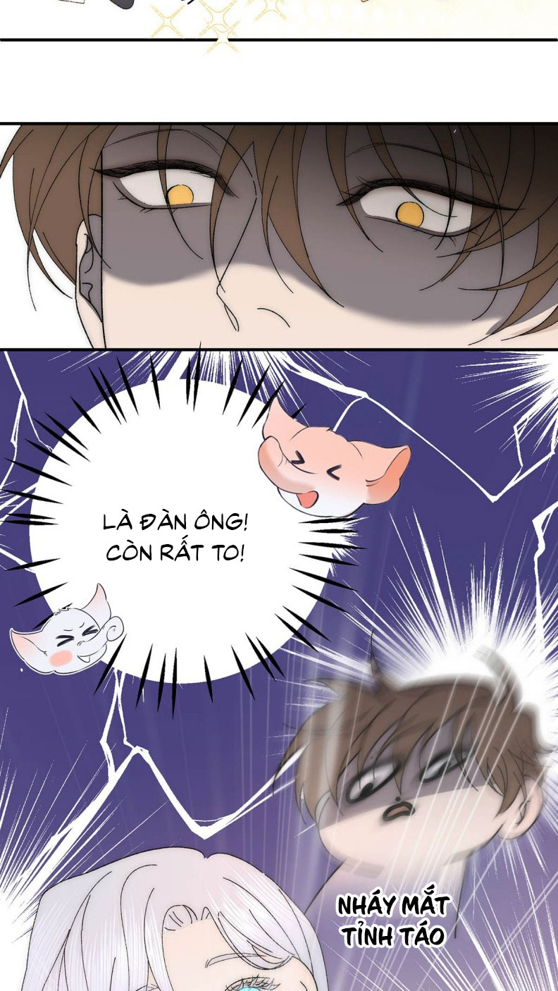 Mỗi Ngày Đều Muốn Làm Bệnh Kiều Vương Tử Xấu hổ Muốn Độn Thổ Chap 4 - Trang 4