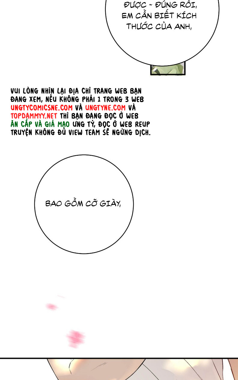 Mỗi Ngày Đều Muốn Làm Bệnh Kiều Vương Tử Xấu hổ Muốn Độn Thổ Chap 4 - Trang 4