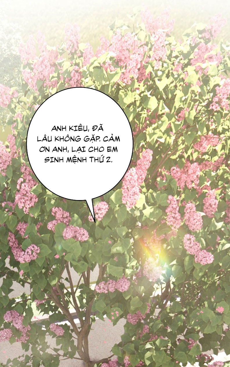 Mỗi Ngày Đều Muốn Làm Bệnh Kiều Vương Tử Xấu hổ Muốn Độn Thổ Chap 4 - Trang 4