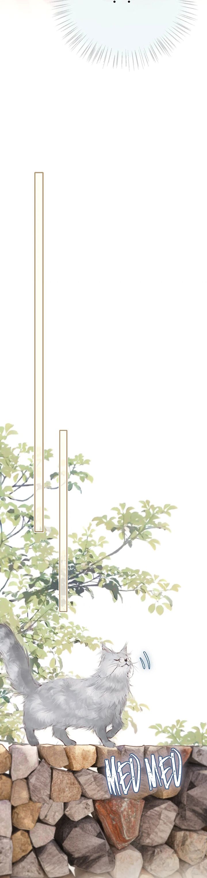 Hoặc Tinh Chi Mục Chap 15: Comeback - Trang 2