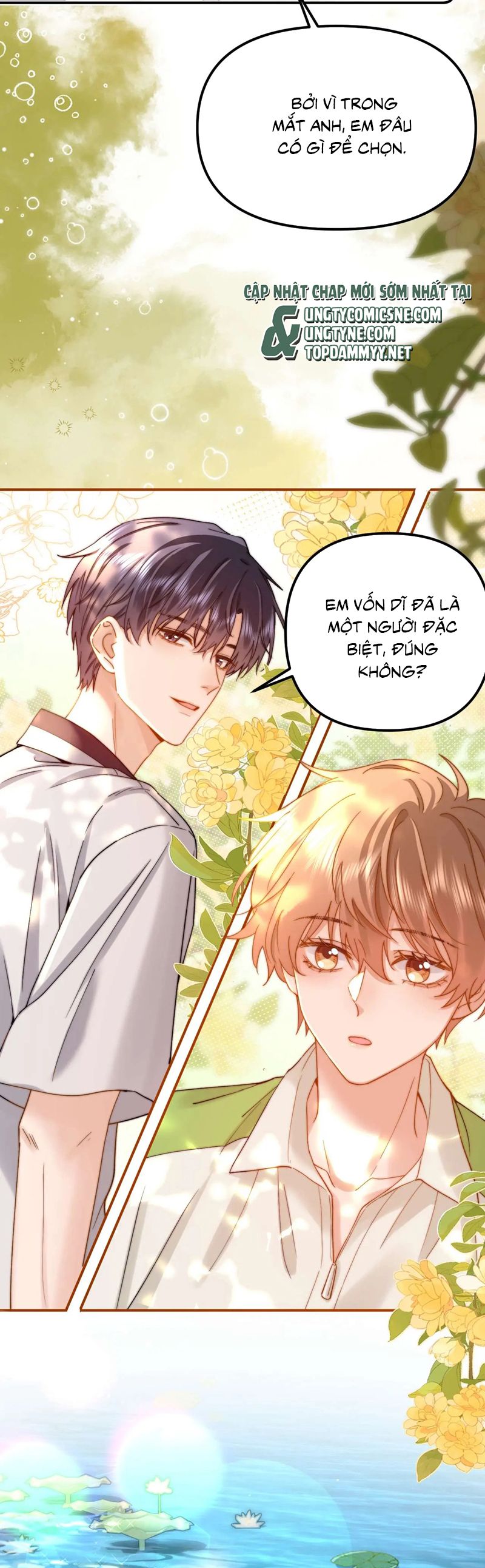 Chất Dị Ứng Đáng Yêu Chap 76 - Next Chap 77