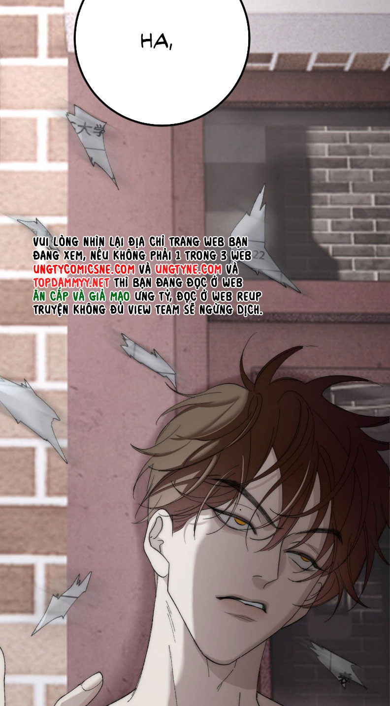 Mỗi Ngày Đều Muốn Làm Bệnh Kiều Vương Tử Xấu hổ Muốn Độn Thổ Chap 5 - Trang 4