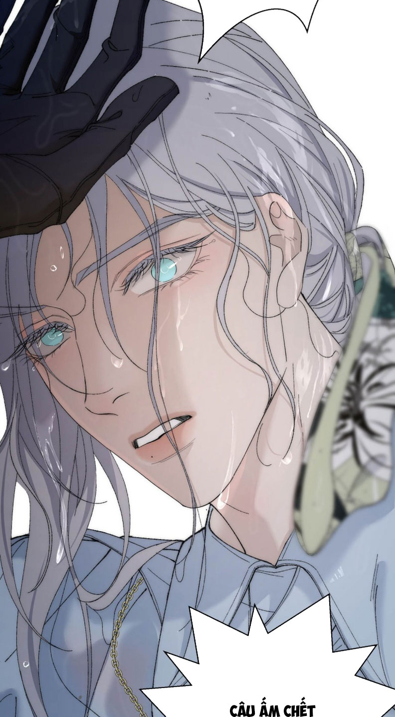 Mỗi Ngày Đều Muốn Làm Bệnh Kiều Vương Tử Xấu hổ Muốn Độn Thổ Chap 5 - Trang 4