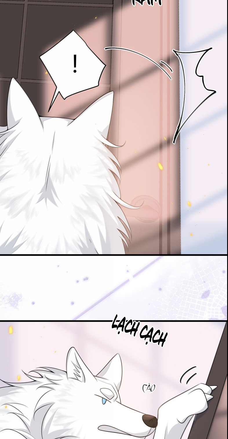 Thẳng Thắn Từ Nghiêm Chapter 139 - Trang 4