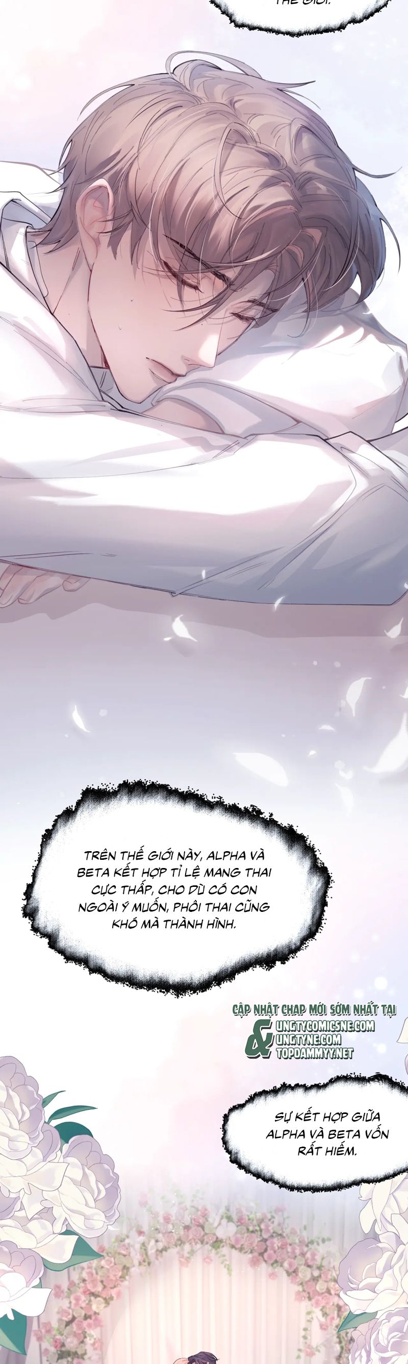 Tinh Vệ Chapter 10 - Trang 4