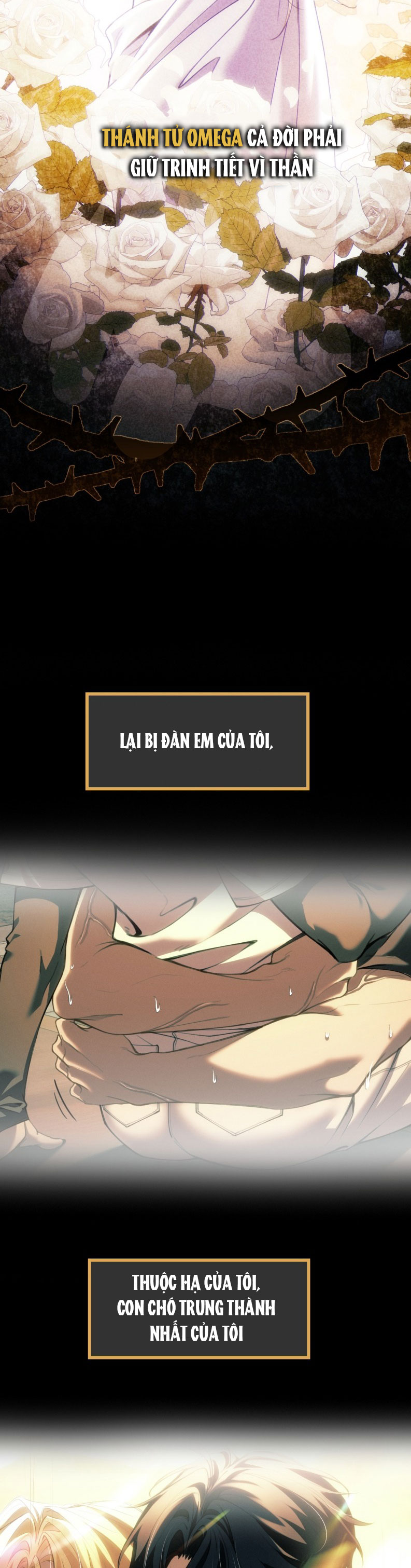 Thánh Tử Điện Hạ Lại Bị Tùy Ý Đánh Dấu Văn Án - Trang 2