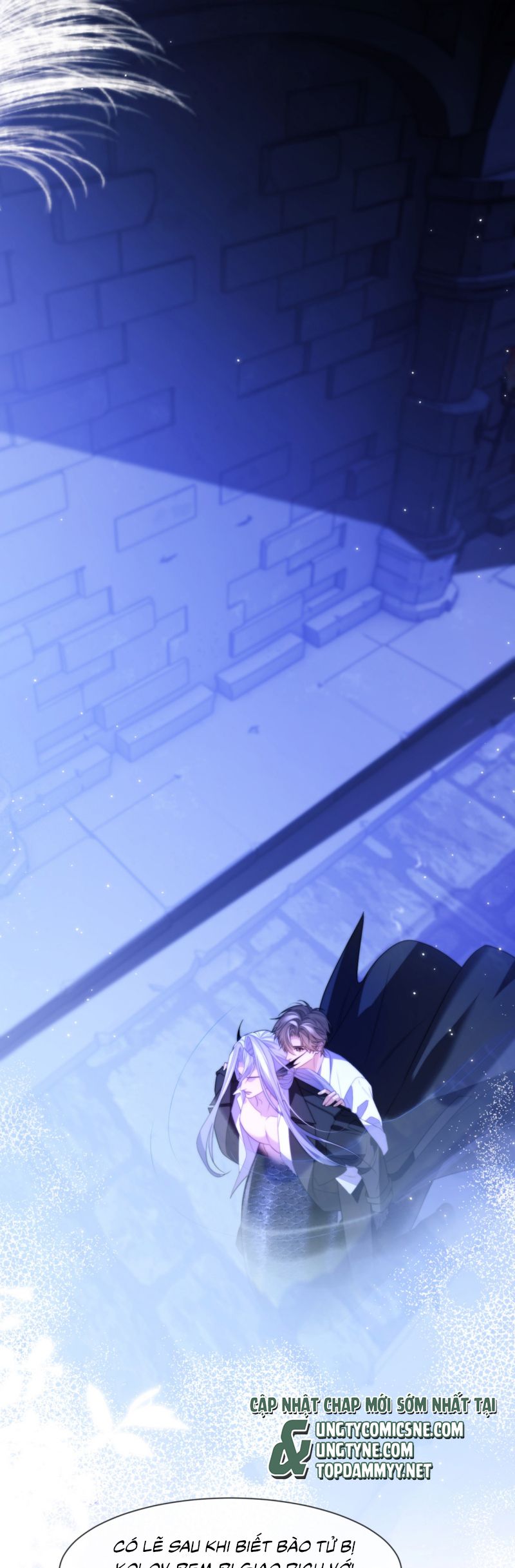 Desharow Nhân Ngư Chap 89 - Trang 4