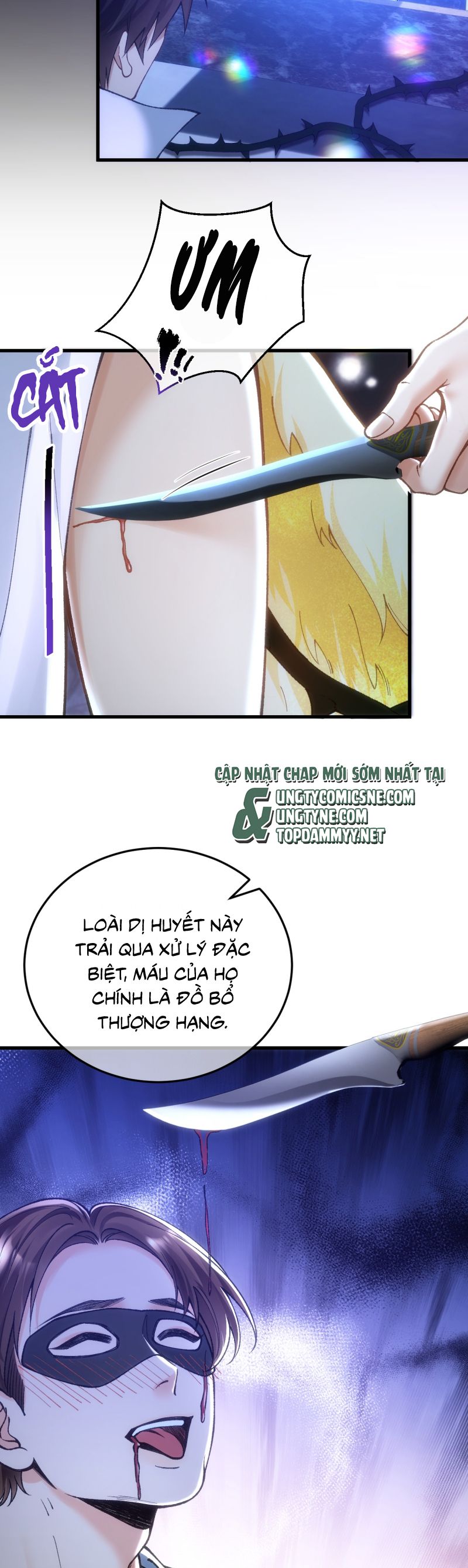 Thánh Tử Điện Hạ Lại Bị Tùy Ý Đánh Dấu Chap 15 - Trang 2