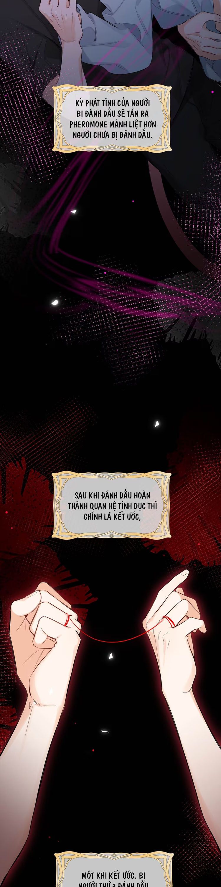 Lang Quân Muốn Chịu Trách Nhiệm Với Tôi Chap 3 - Trang 4