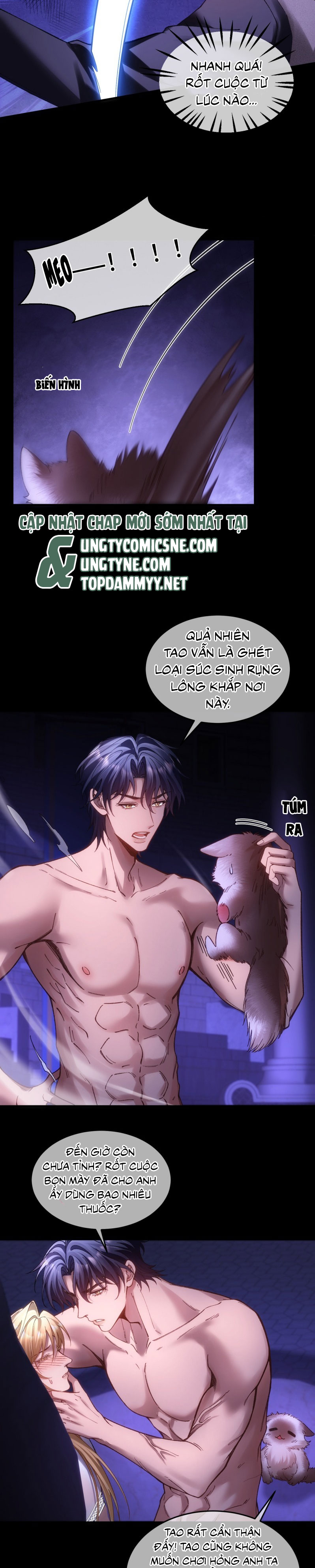 Thánh Tử Điện Hạ Lại Bị Tùy Ý Đánh Dấu Chap 16 - Trang 2