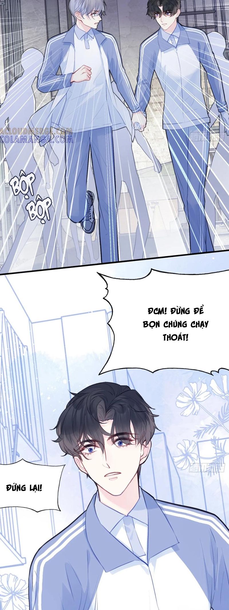 Anh Ấy Chưa Từng Rơi Xuống Chap 129 - Trang 4