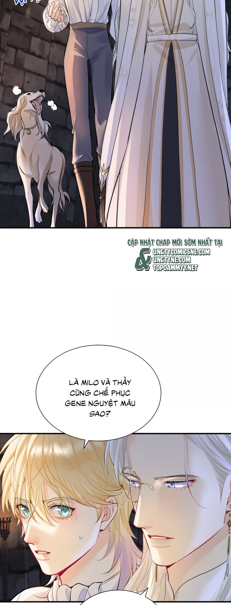 Bản Tình Ca Nụ Hôn Tù Ái Chap 41 - Trang 2