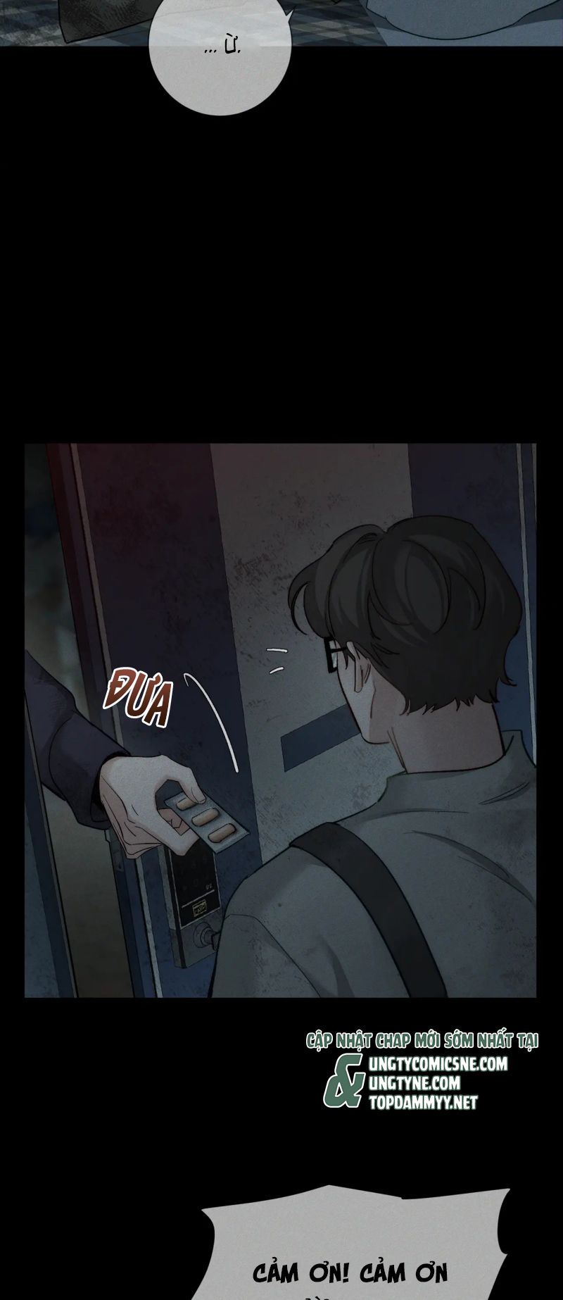 Nhân Vật Chính Chỉ Muốn Yêu Đương Chap 243 - Trang 4