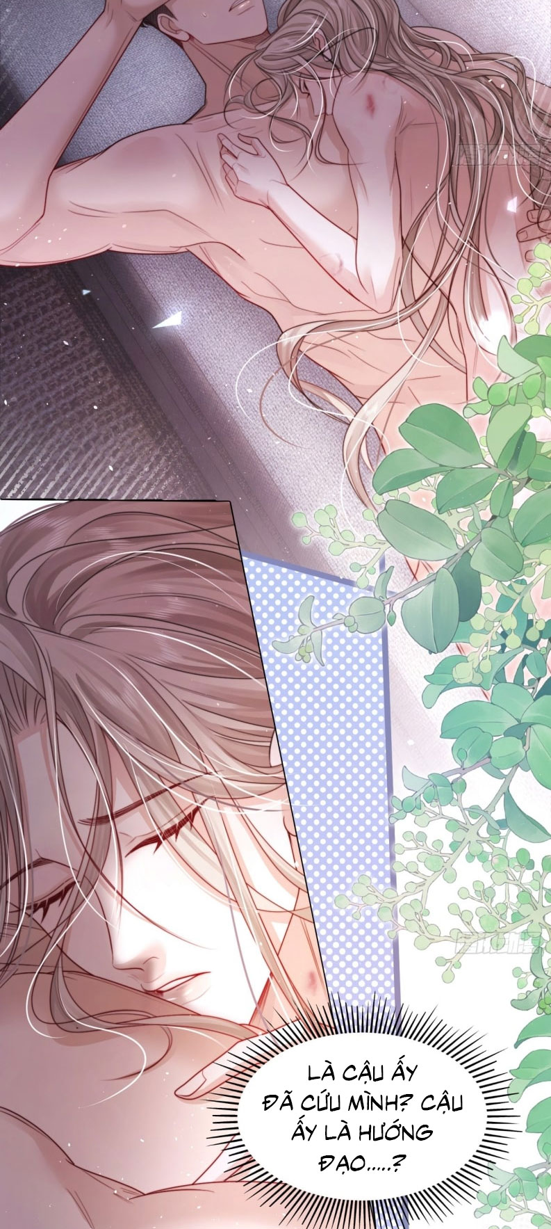 Chim Trong Lồng Chap 2 - Trang 4