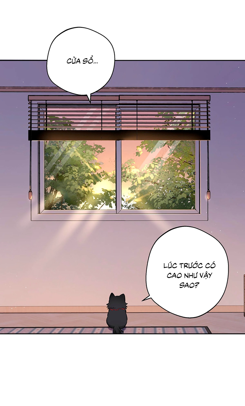 Lang Quân Muốn Chịu Trách Nhiệm Với Tôi Chap 22 - Trang 3