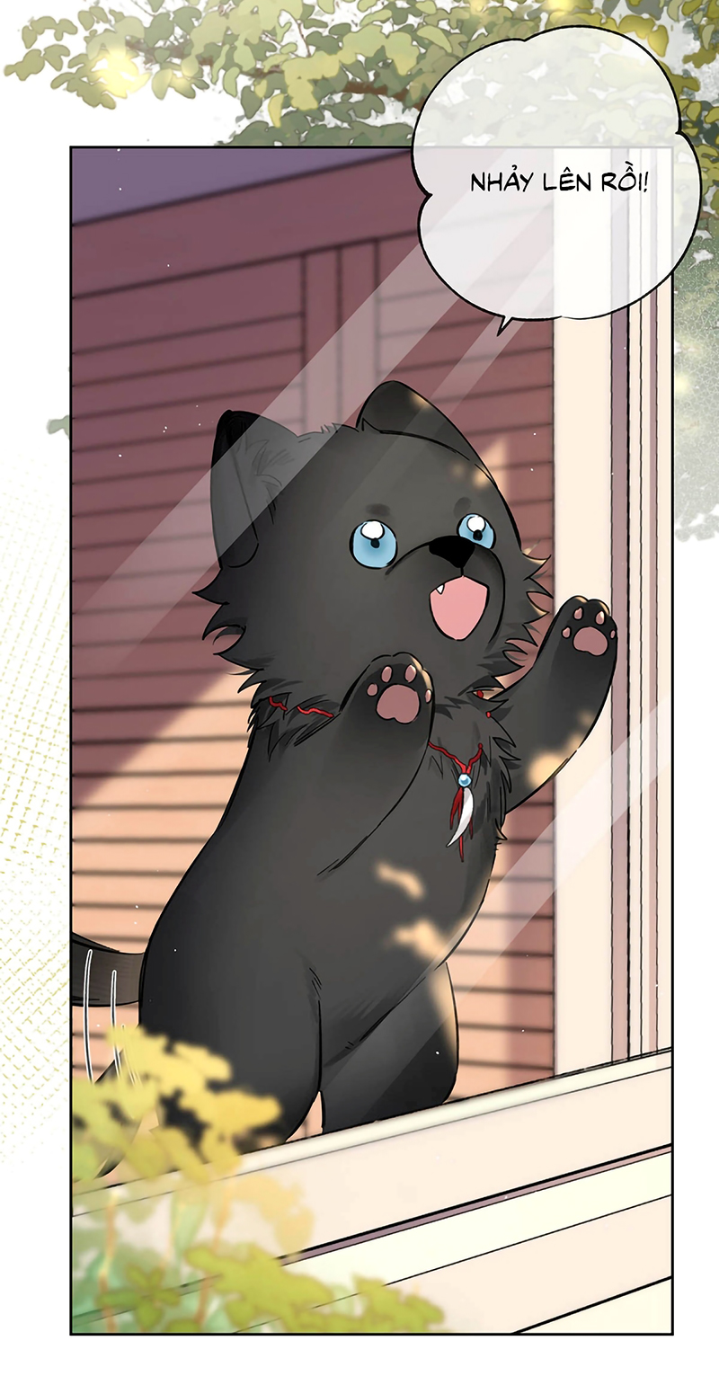 Lang Quân Muốn Chịu Trách Nhiệm Với Tôi Chap 22 - Trang 3