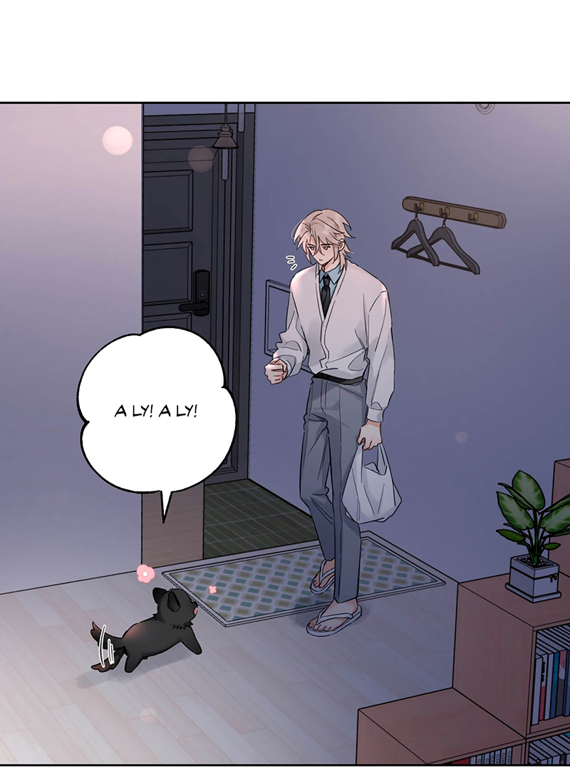 Lang Quân Muốn Chịu Trách Nhiệm Với Tôi Chap 22 - Trang 3