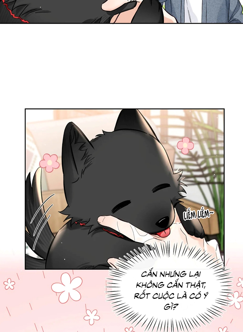 Lang Quân Muốn Chịu Trách Nhiệm Với Tôi Chap 23 - Trang 3