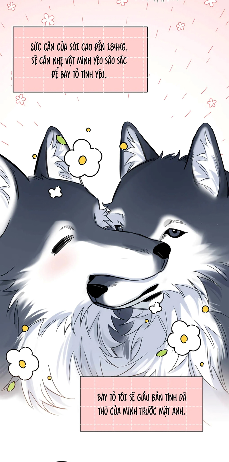 Lang Quân Muốn Chịu Trách Nhiệm Với Tôi Chap 23 - Trang 3