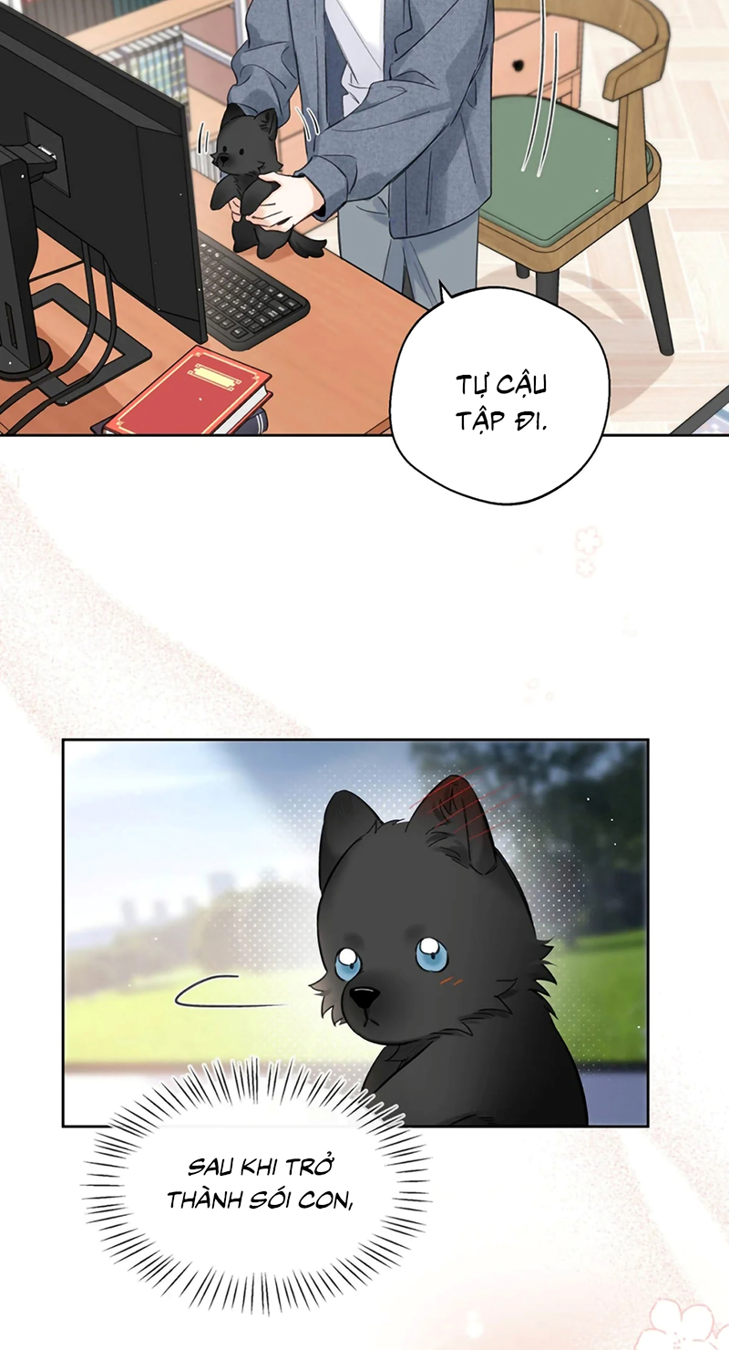 Lang Quân Muốn Chịu Trách Nhiệm Với Tôi Chap 24 - Trang 3