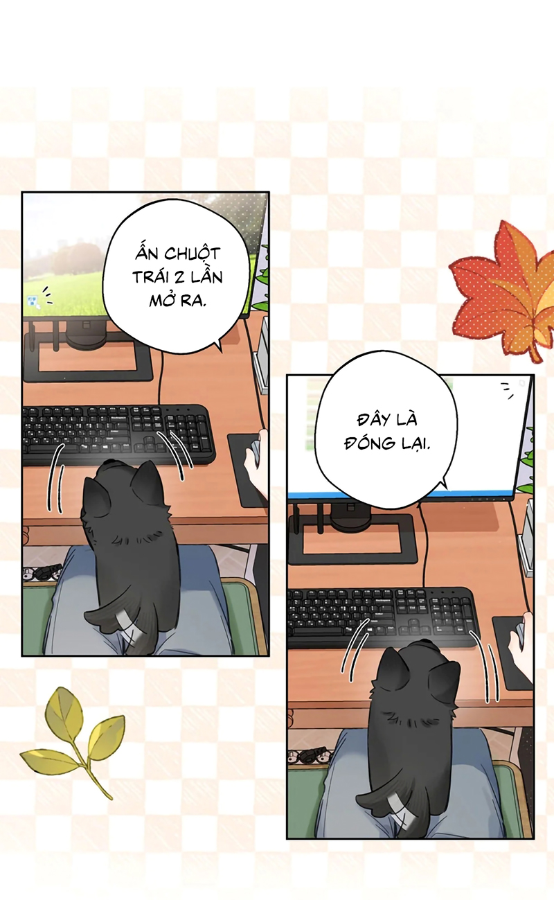 Lang Quân Muốn Chịu Trách Nhiệm Với Tôi Chap 24 - Trang 3