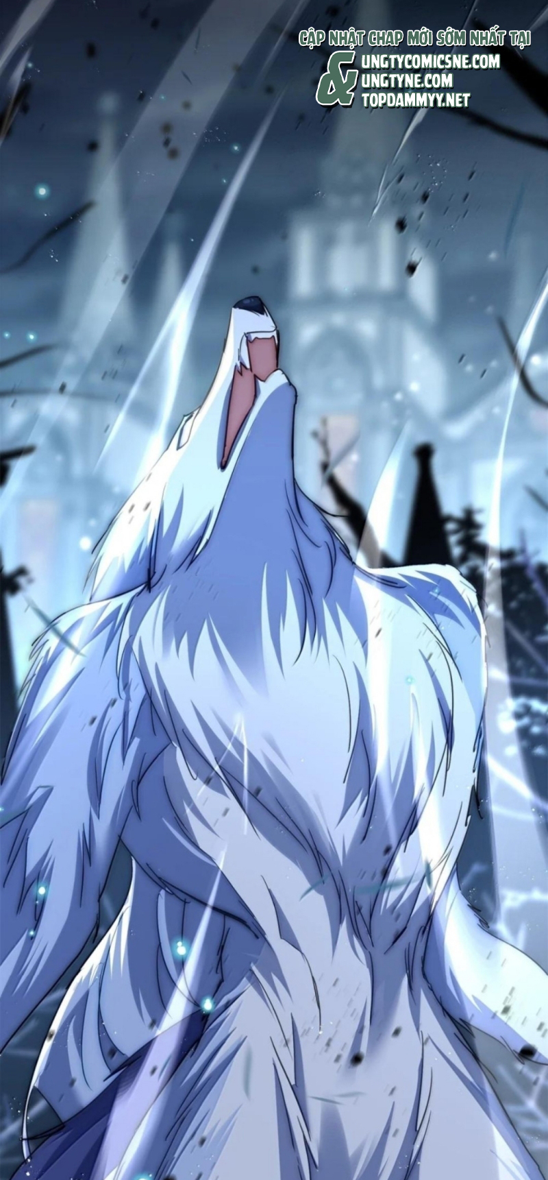 Lồng Tuyết Chap 68 - Next Chap 69